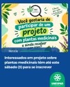 Interessados em projeto sobre plantas medicinais têm até este sábado (3) para se inscrever