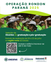 • Operação Rondon abre inscrições até 12 de maio para estudantes de graduação e de pós