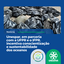 • Unespar, em parceria com a UFPR e o IFPR, incentiva conscientização e sustentabilidade dos oceanos