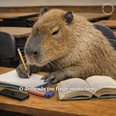 Volta às aulas na UNESPAR Campus de Paranavaí!