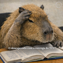 Volta às aulas na UNESPAR Campus de Paranavaí!