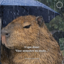 Volta às aulas na UNESPAR Campus de Paranavaí!