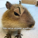 Volta às aulas na UNESPAR Campus de Paranavaí!